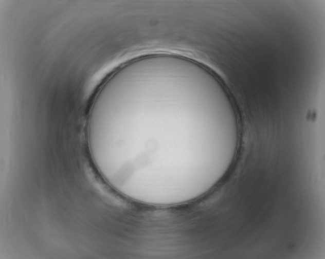 X0000113131507200909040920