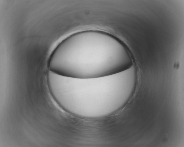 X0000113131508200909040920