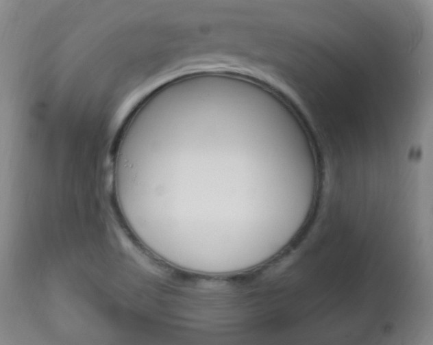 X0000113131509200909040920