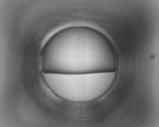 X0000113131510200909040920