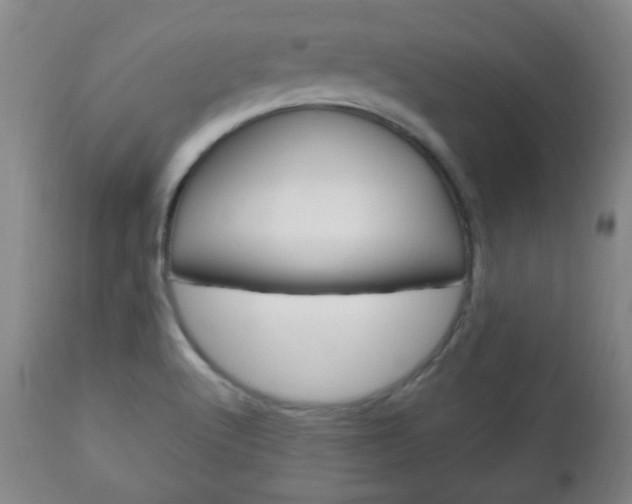 X0000113131512200909040920