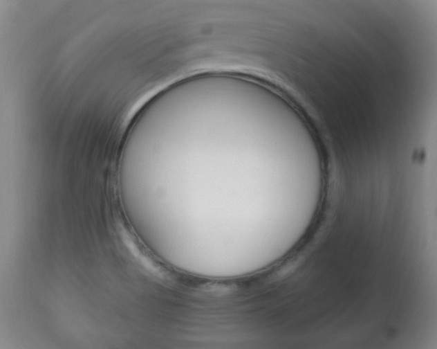 X0000113131513200909040920