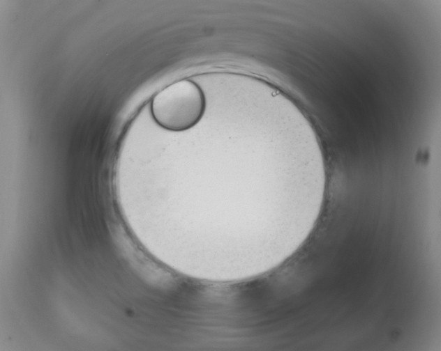 X0000113131514200909040920