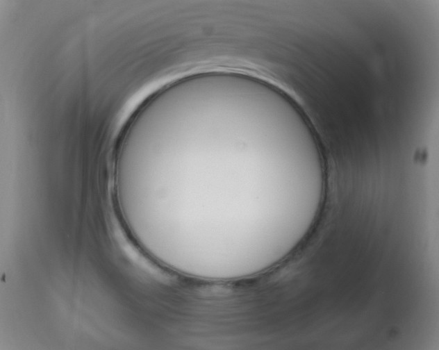 X0000113131515200909040920