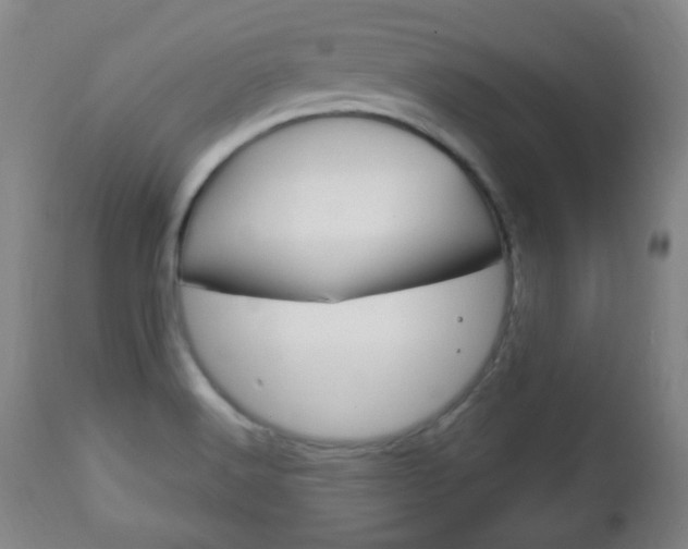 X0000113131516200909040920
