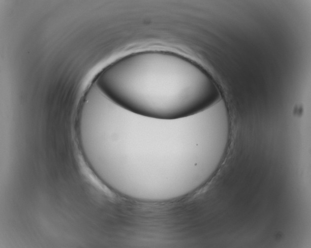 X0000113131518200909040920