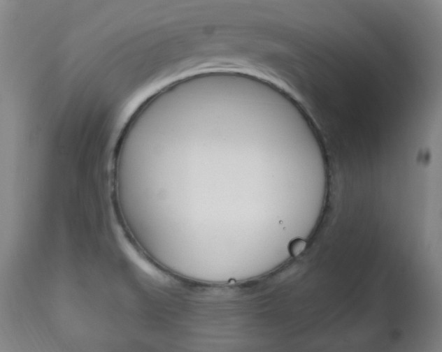 X0000113131519200909040920