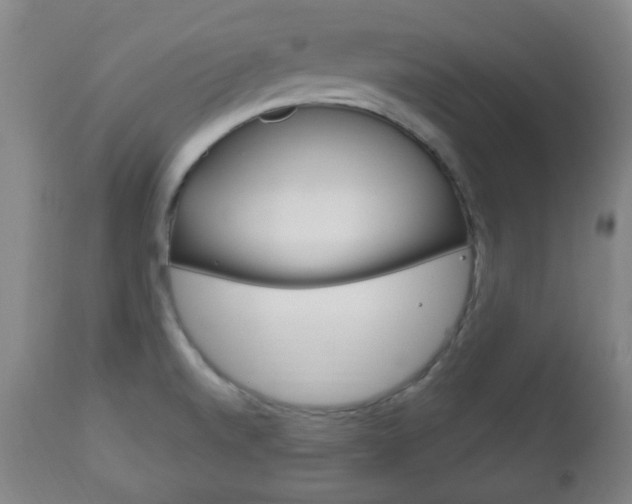 X0000113131520200909040920