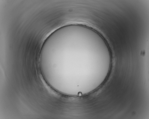 X0000113131521200909040920