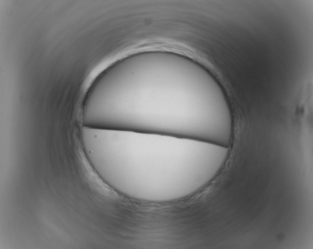 X0000113131522200909040920