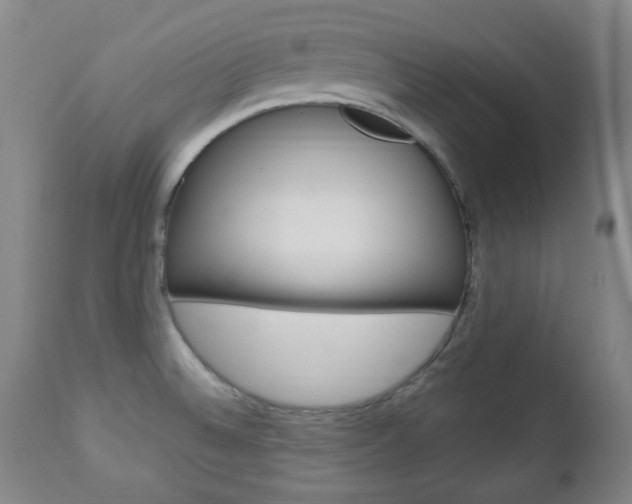 X0000113131524200909040920