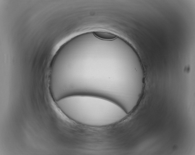 X0000113131526200909040921