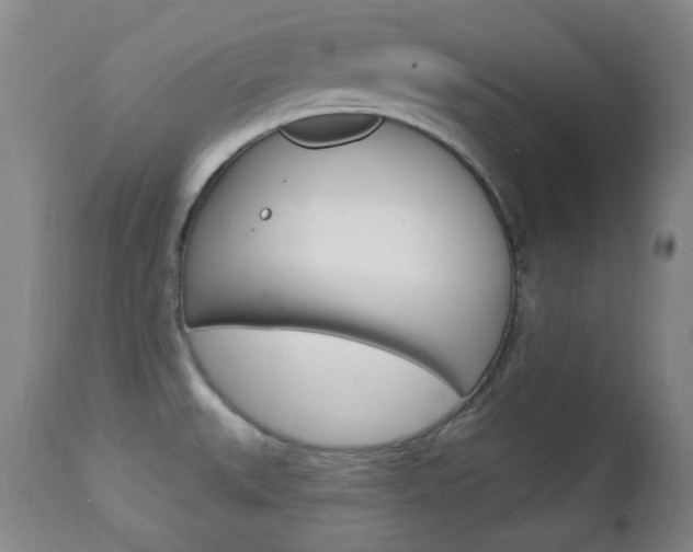 X0000113131527200909040921
