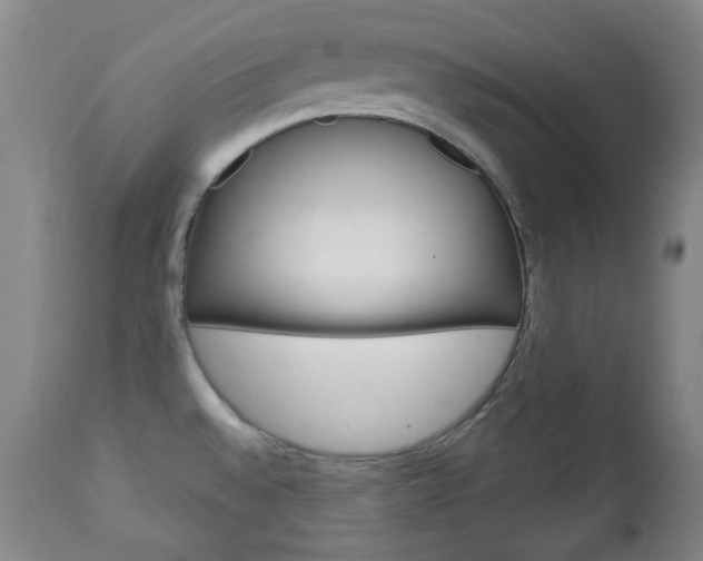 X0000113131528200909040921