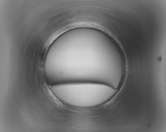 X0000113131529200909040921