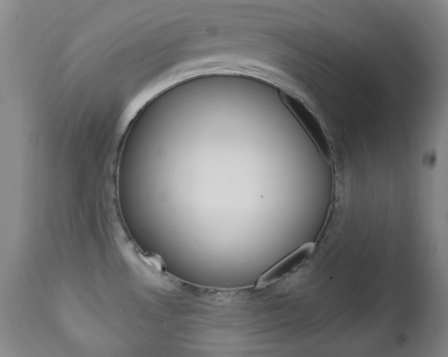 X0000113131530200909040921