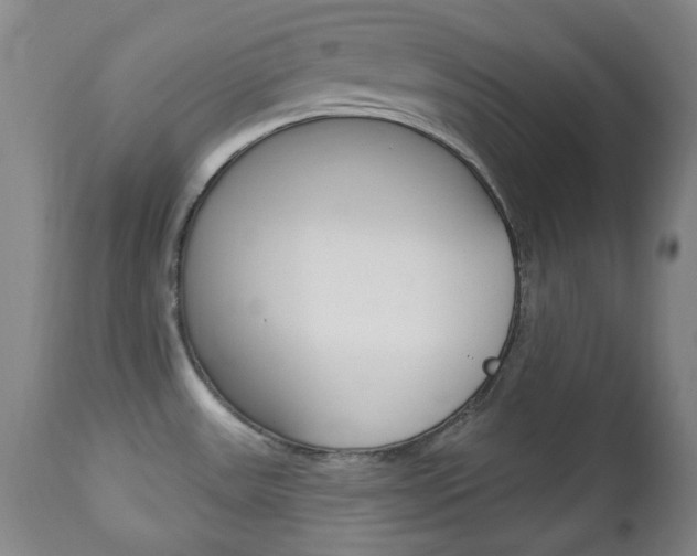 X0000113131531200909040921