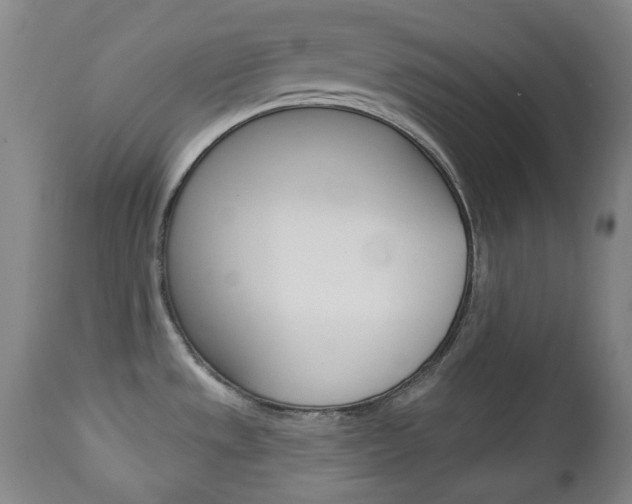 X0000113131533200909040921