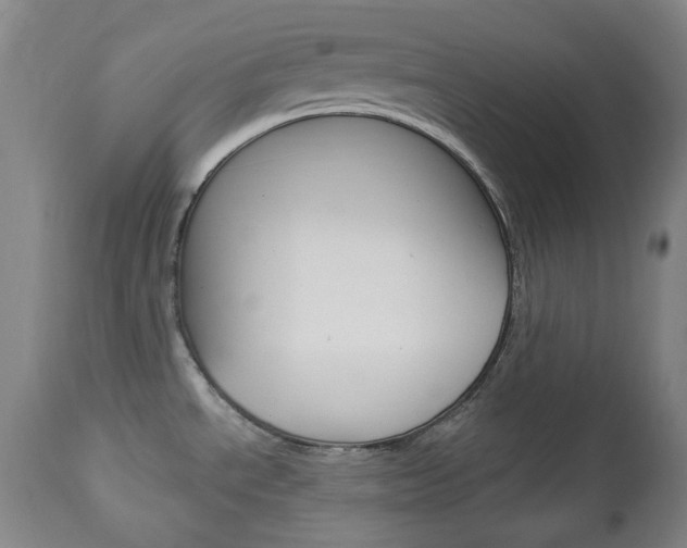 X0000113131534200909040921