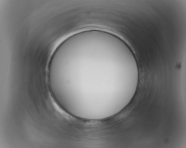 X0000113131535200909040921