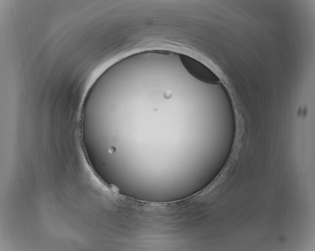 X0000113131536200909040921