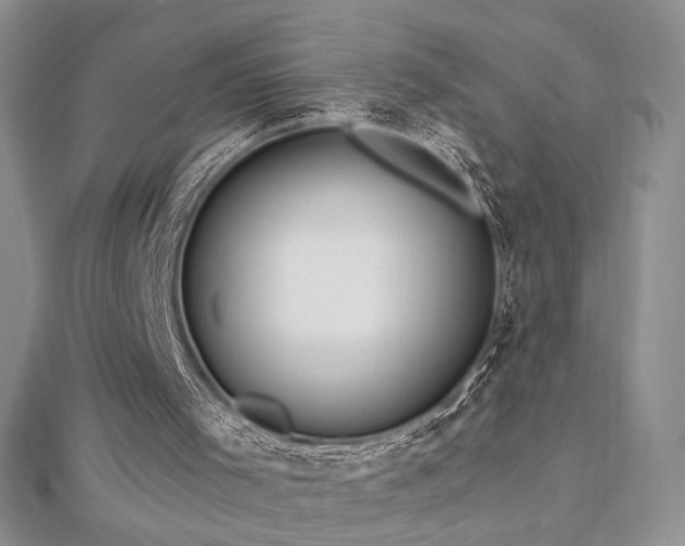 X0000113130001200909041157