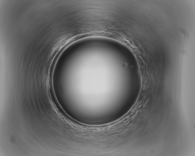 X0000113130002200909041157