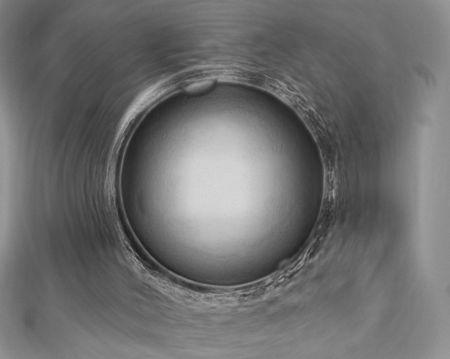 X0000113130004200909041157