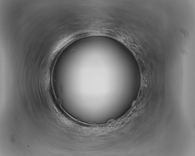 X0000113130005200909041157