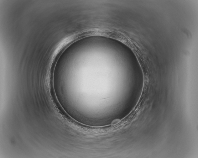 X0000113130006200909041157
