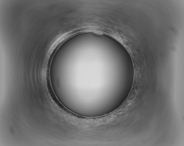 X0000113130007200909041157