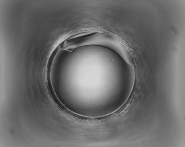 X0000113130008200909041157