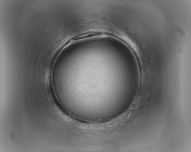 X0000113130009200909041157