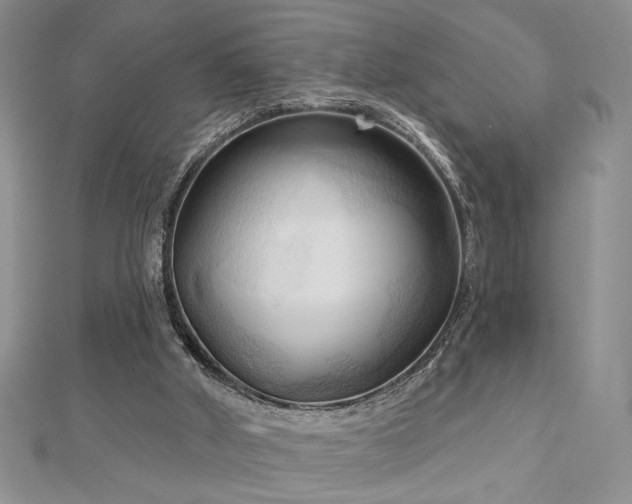 X0000113130010200909041157