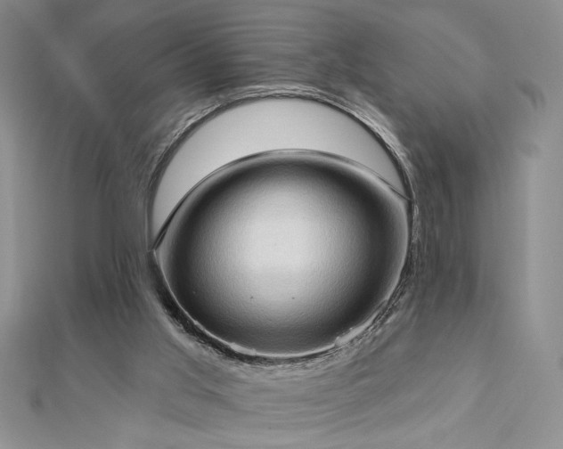 X0000113130013200909041157