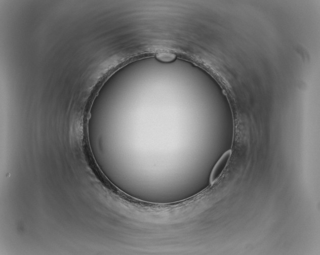 X0000113130015200909041157