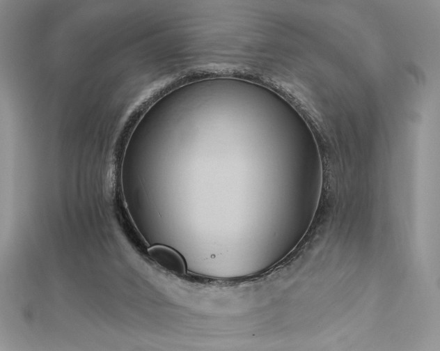 X0000113130016200909041157