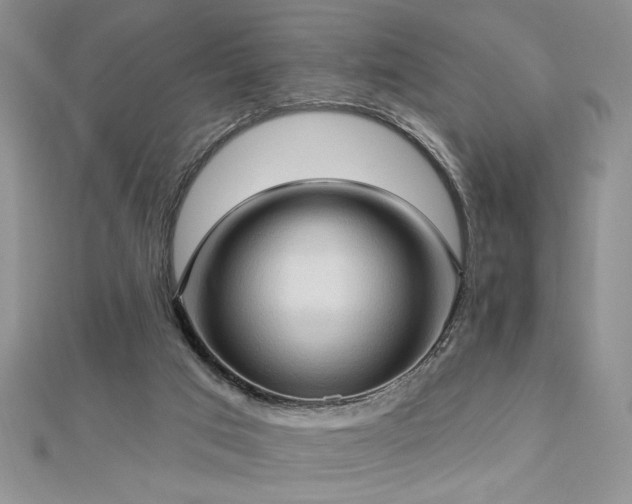 X0000113130017200909041157