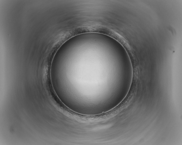 X0000113130018200909041157