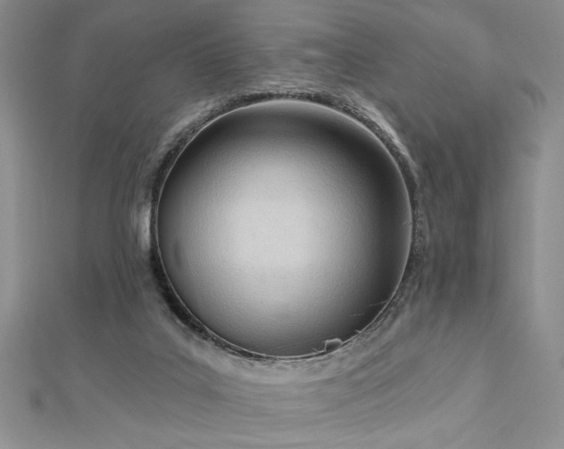 X0000113130019200909041157