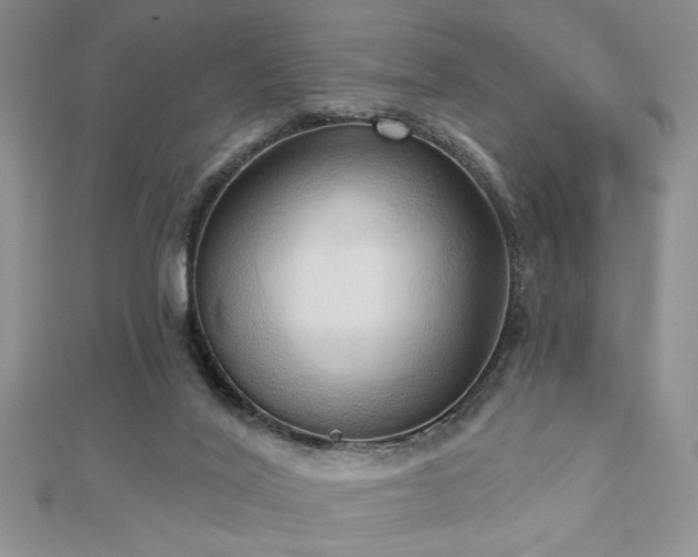 X0000113130020200909041157
