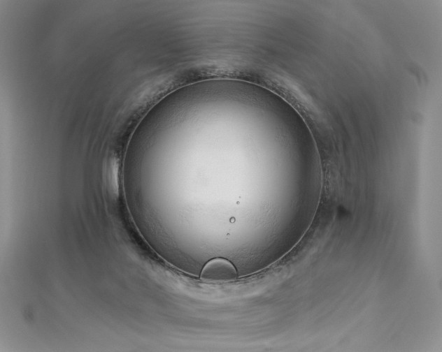 X0000113130022200909041157