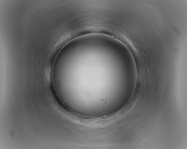 X0000113130023200909041157
