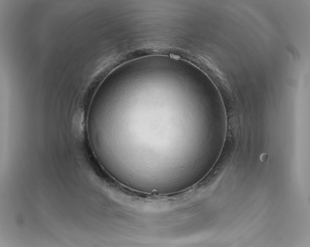 X0000113130024200909041157