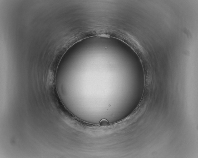 X0000113130025200909041157