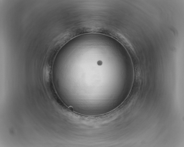 X0000113130026200909041157
