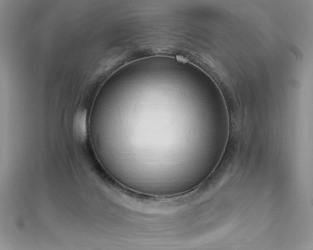X0000113130028200909041157