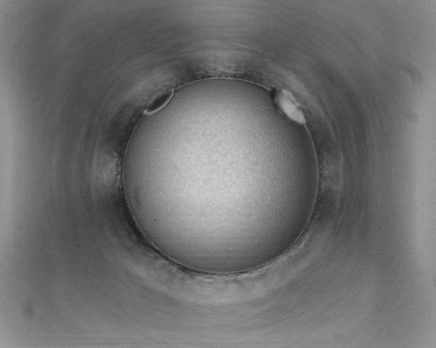 X0000113130029200909041157