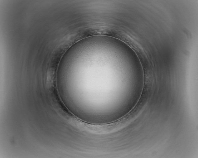 X0000113130030200909041157
