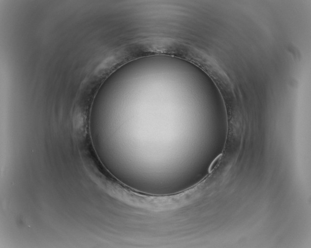 X0000113130031200909041157